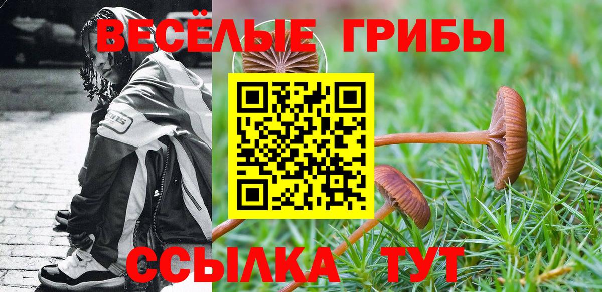 Галлюциногенные грибы GOLDEN TEACHER  Вход с VPN  Галлюциногенные грибы прущие грибы  Саянск 